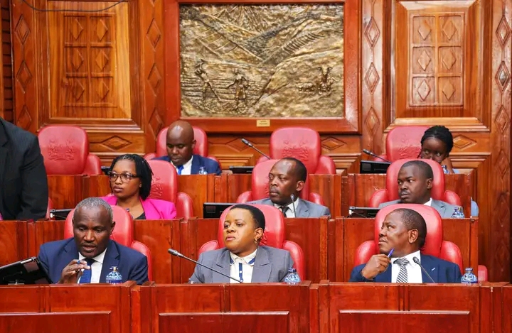 Parliamentary Oversight