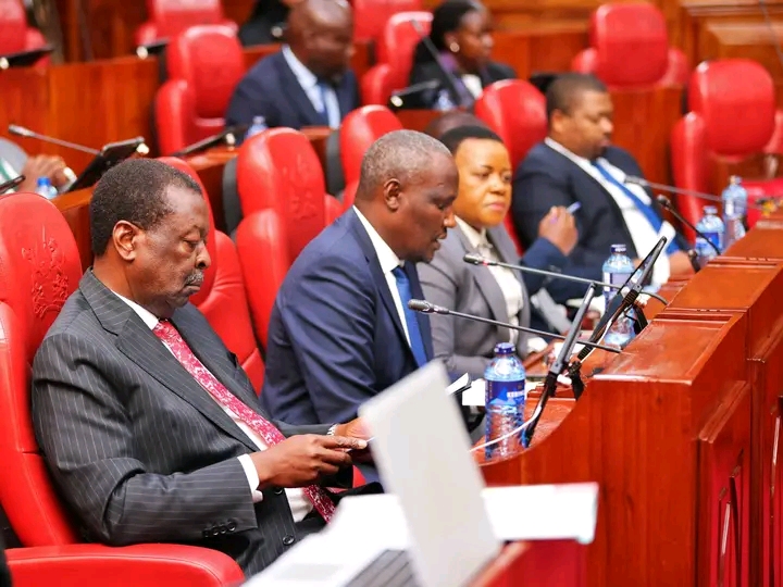 Parliamentary Oversight