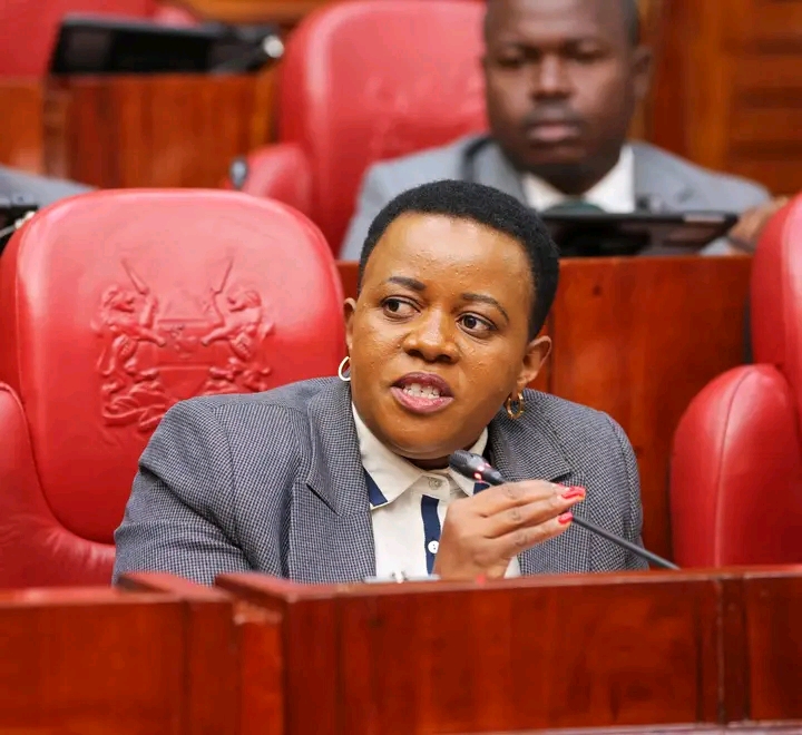 Parliamentary Oversight