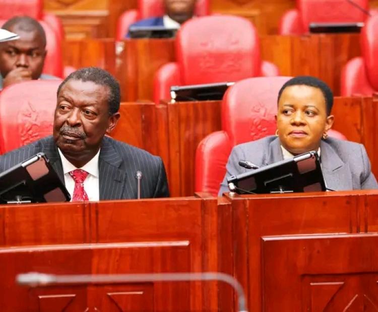 Parliamentary Oversight